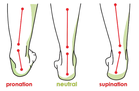 Faves promotes neutral stance with orthotics - most comfortable shoes