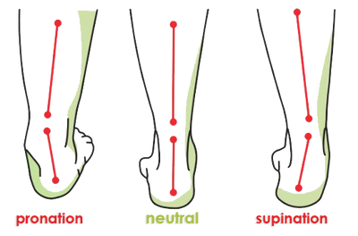 pro and supination and neutral stance information