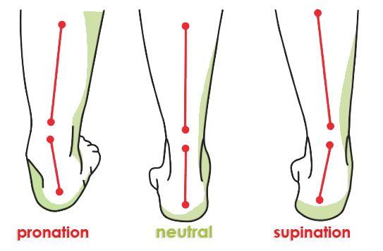 pro and supination and neutral stance information